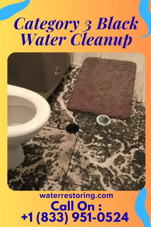 Category 3 Black Water Cleanup in Clarion, IA